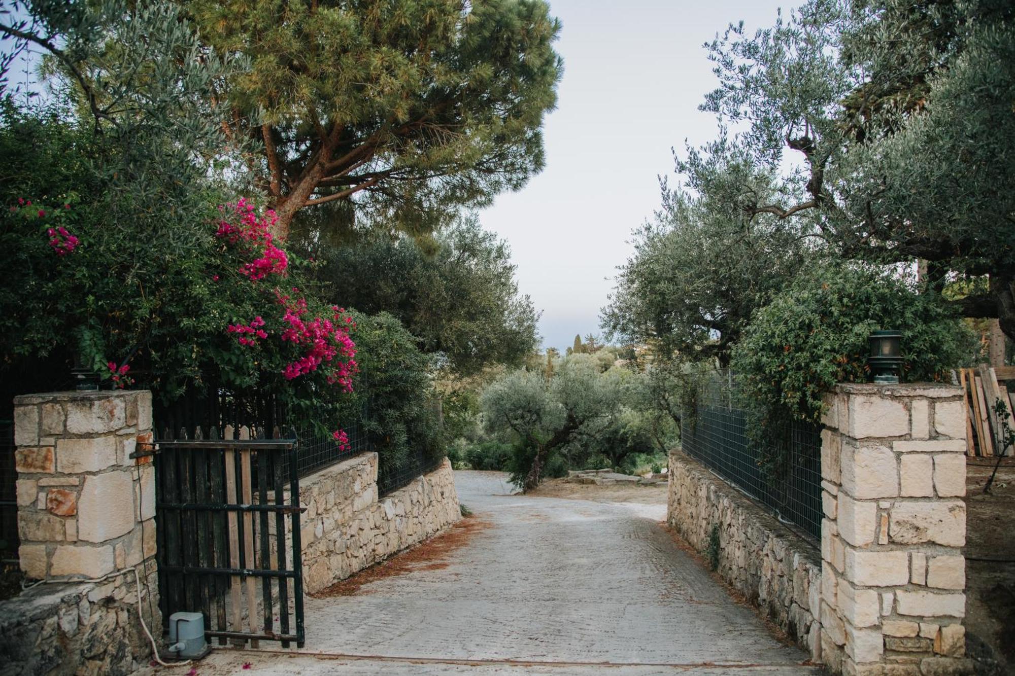 Orama Stone Apartments - Authentic Hospitality In A Historical Location, By Zantewize Εξωτερικό φωτογραφία